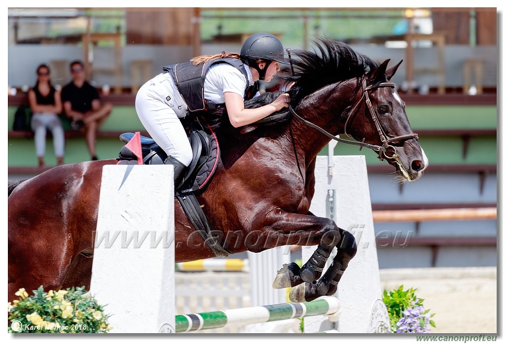 Rozlka Grand Prix 16th June 2018 - 120 cm