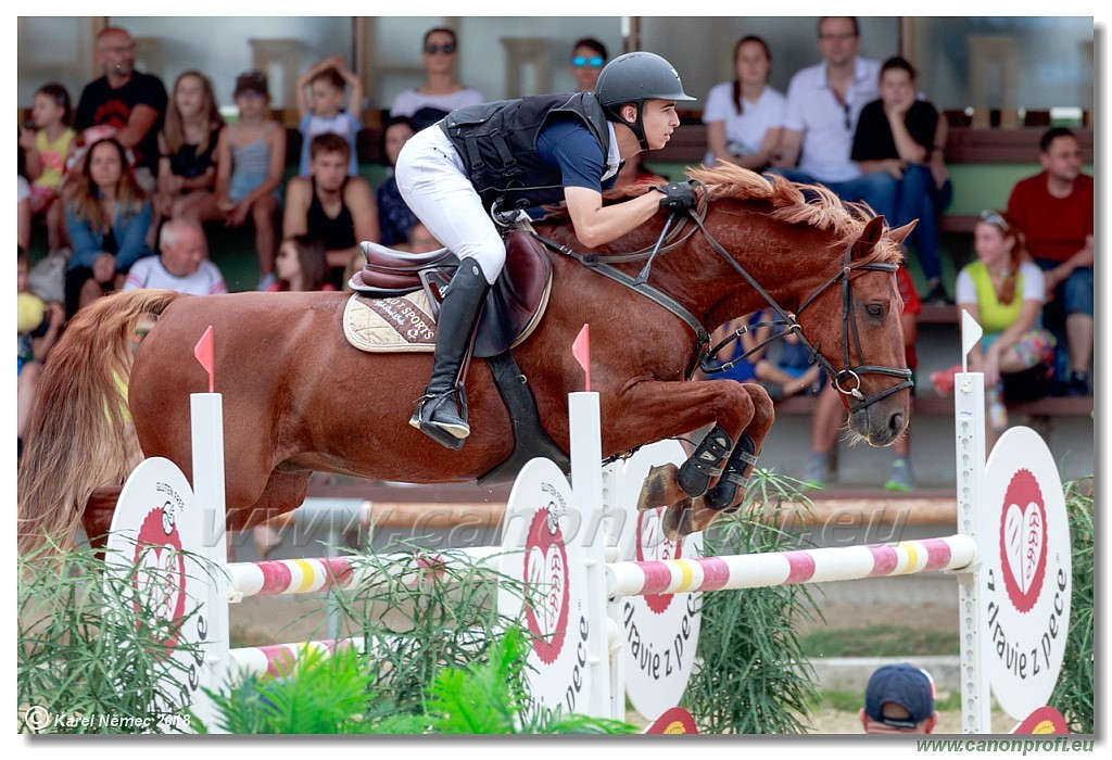 Rozlka Grand Prix 16th June 2018 - 130 cm