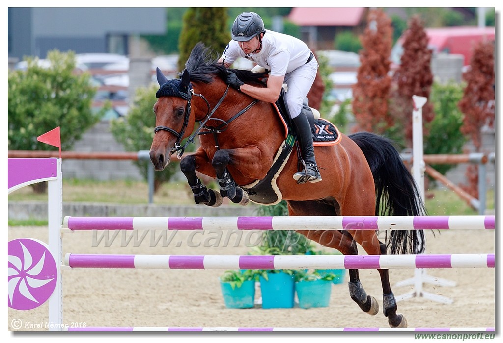 Rozlka Grand Prix 16th June 2018 - 130 cm