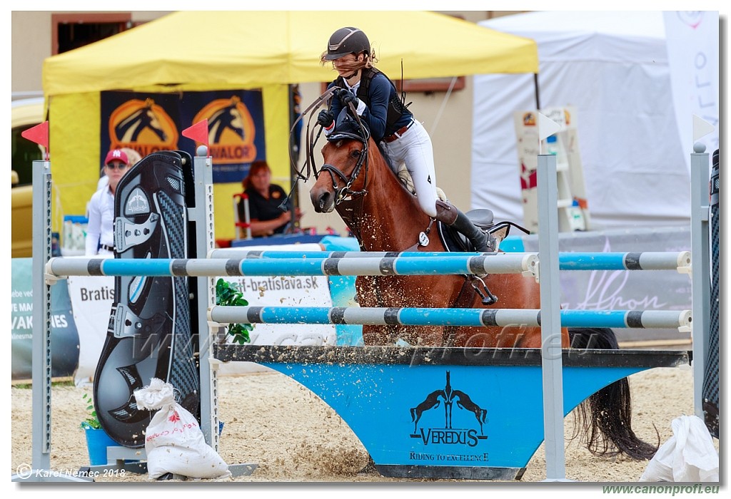 Rozlka Grand Prix 16th June 2018 - 130 cm