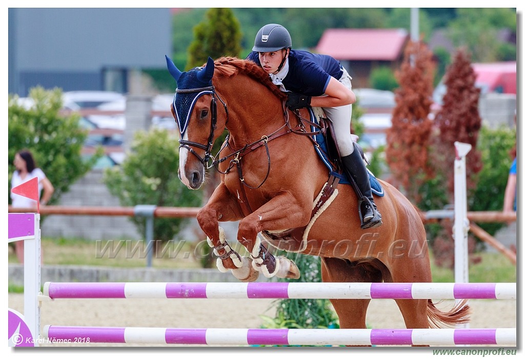 Rozlka Grand Prix 16th June 2018 - 130 cm