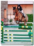 Vic des Cerisiers - Dinan Katherine A., USA 