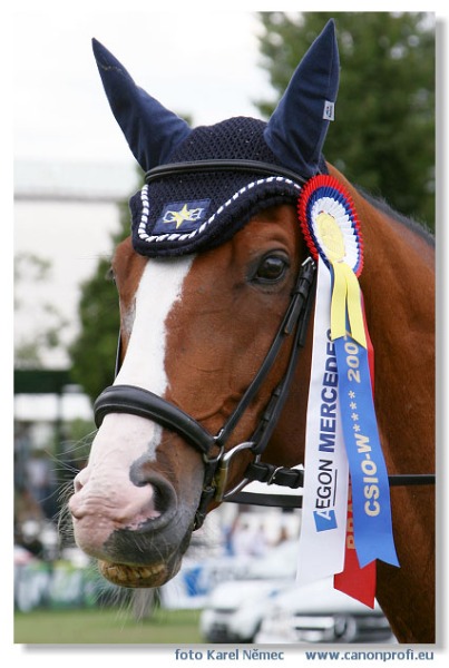 Bratislava - Grand Prix 2007
