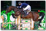 Chellano Lady - Holly Andrej, SVK 