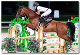 Alloro FBH - Braulke Katharina, GER 