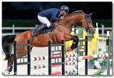 Belle de Jour S - Schumann Norbert, ROU 