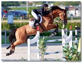 Adamo - Reid Chloe, USA 
