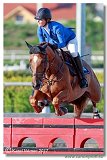 Jarvis van D Abelendreef - Heed Linda, SWE 