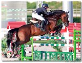 Farao van T Vennehof - Polesello Luigi, ITA 