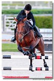 BROWN GOLD LADY - Veronika VRS, HUN 
