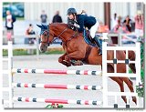 JULIA S DIAMOND - Petra HAVLOVIOV 
