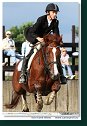 MSR august 2006
