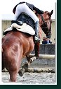 MSR august 2006