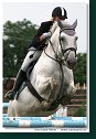 MSR august 2006