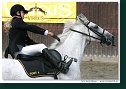 MSR august 2006