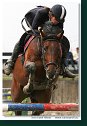 MSR august 2006