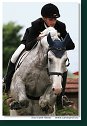 MSR august 2006