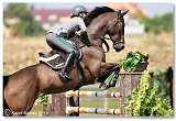 BRAVOUR Hongre - CAPPONI Francesca, ITA 
