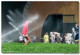 watering 