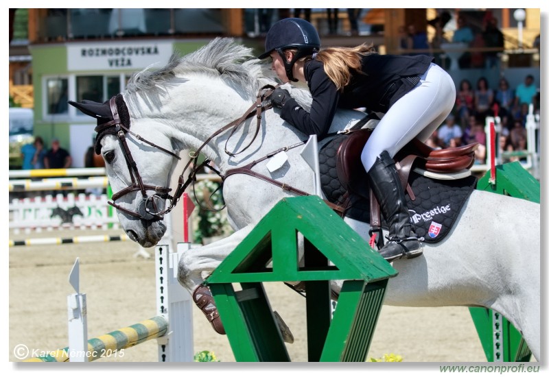 PARAGAN Grand Prix