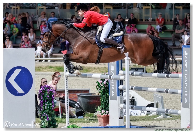 PARAGAN Grand Prix