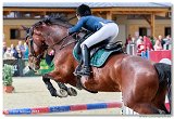 Veronika Vrs - Brown Gold Lady 