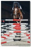 BEEN Remco, NED - HOLLAND VD BISSCHOP - 200 cm 