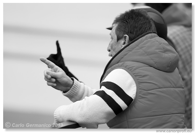 Zimn liga 2013 - finle