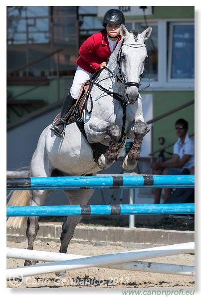 Grand Prix CSI2* o malokarpatsk strapec