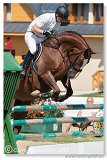 Young horses Tour  6 and 7 year old 