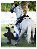 CARUSO 394 - CANDIN Andy, ROM  