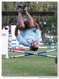 Show Jumping mimo programu 