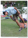 Show Jumping mimo programu 