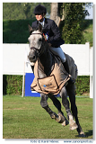 Bratislava - Grand Prix 2008