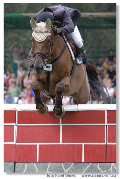 Bratislava - Grand Prix 2007