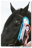 MSR august 2006 