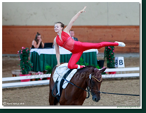 Voltíž - Vaulting 2018