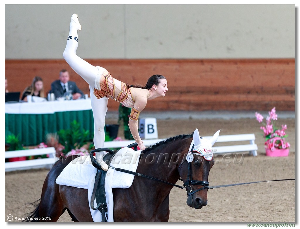  CVI Pezinok - 16th June 2018 - Individual CVIJ2*