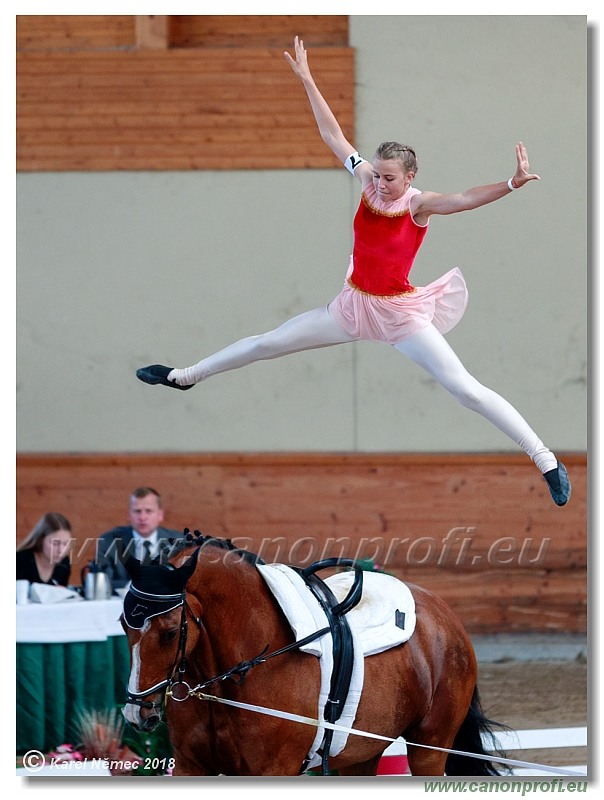  CVI Pezinok - 16th June 2018 - Individual CVIJ2*