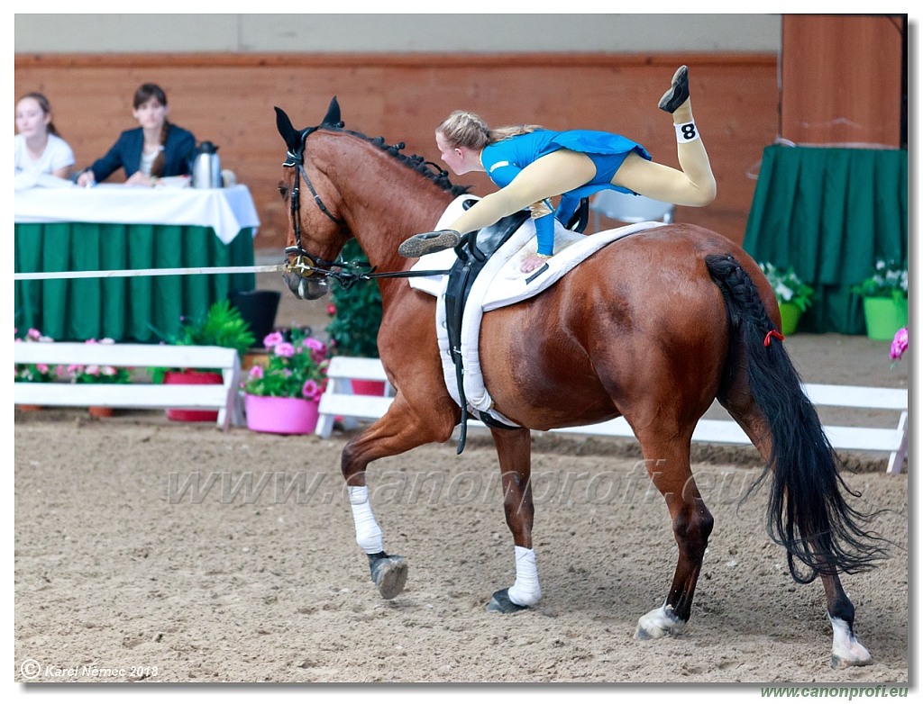  CVI Pezinok - 16th June 2018 - Individual CVIJ2*