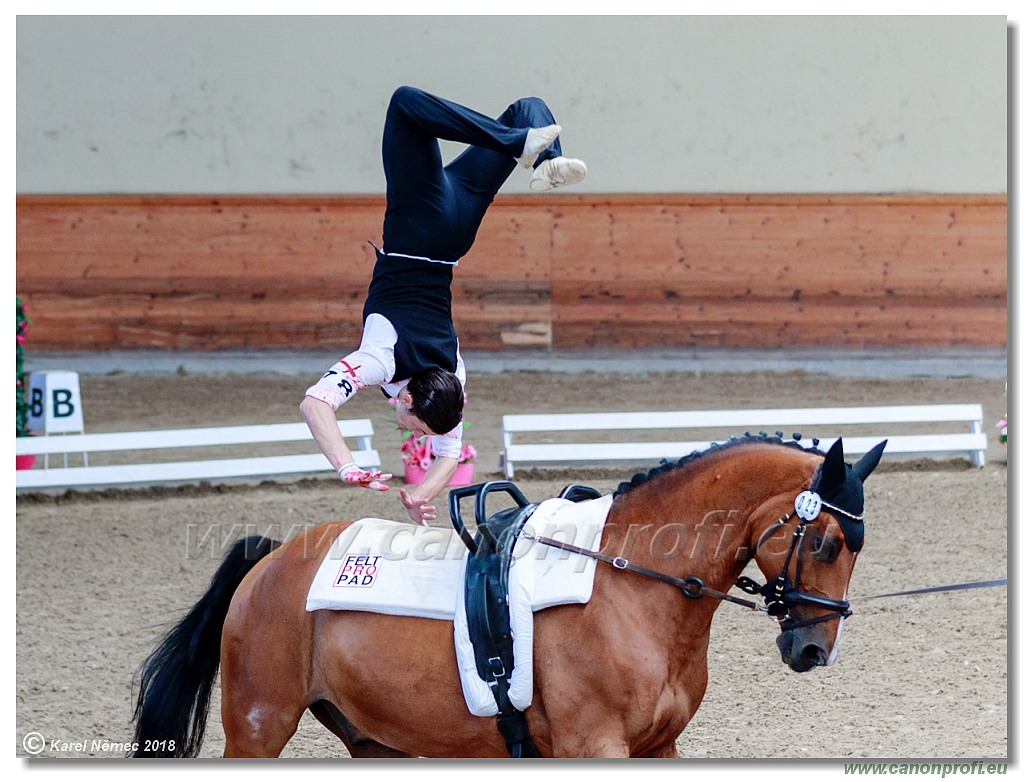  CVI Pezinok - 16th June 2018 - Individual CVIJ2*