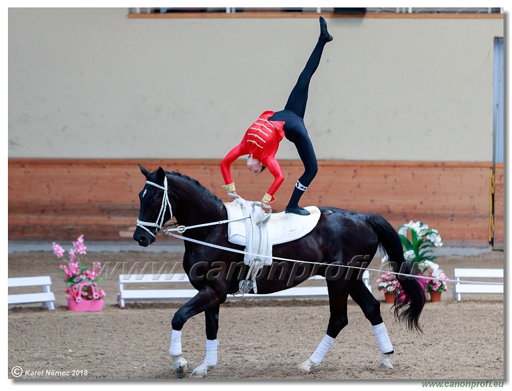  CVI Pezinok - 16th June 2018 - Individual CVIJ2*