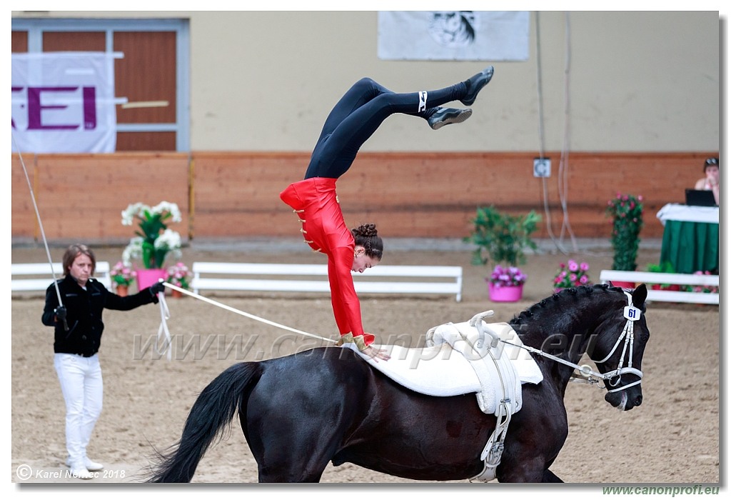  CVI Pezinok - 16th June 2018 - Individual CVIJ2*