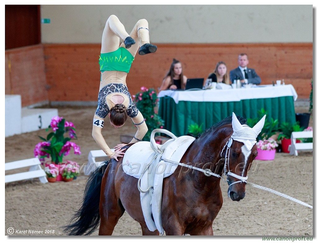  CVI Pezinok - 16th June 2018 - Individual CVIJ2*