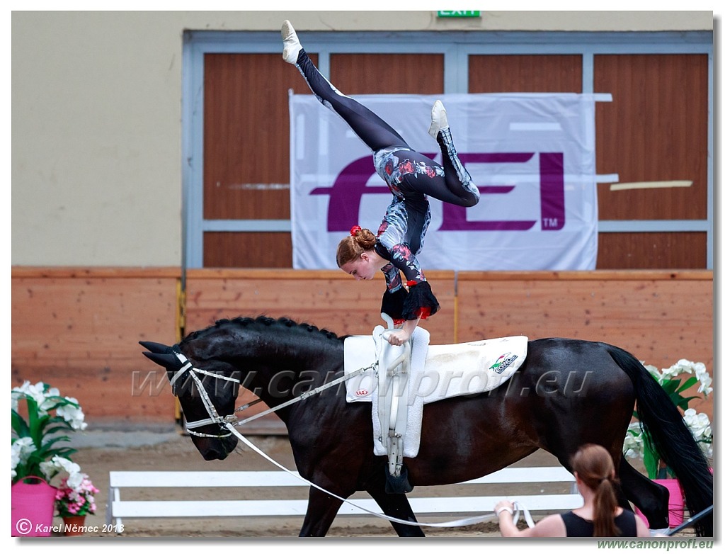  CVI Pezinok - 16th June 2018 - Individual CVIJ2*