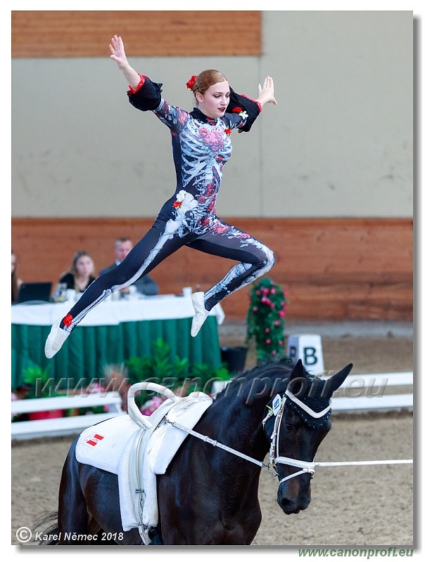  CVI Pezinok - 16th June 2018 - Individual CVIJ2*