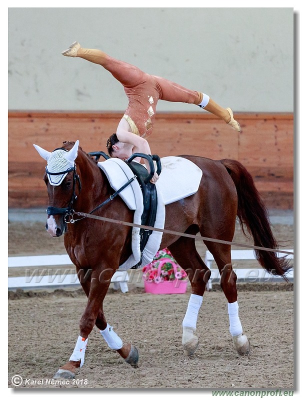  CVI Pezinok - 16th June 2018 - Individual CVIJ2*