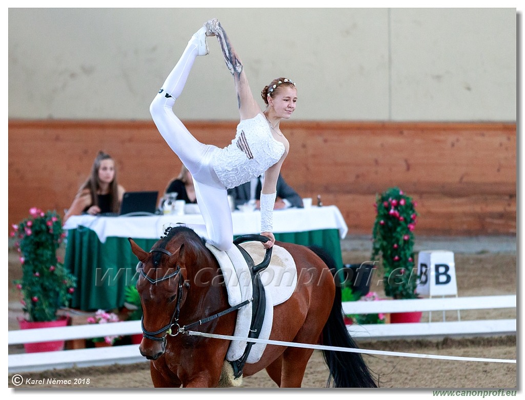  CVI Pezinok - 16th June 2018 - Individual CVIJ2*