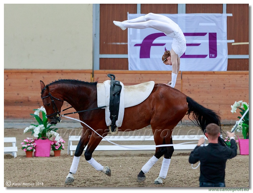  CVI Pezinok - 16th June 2018 - Individual CVIJ2*