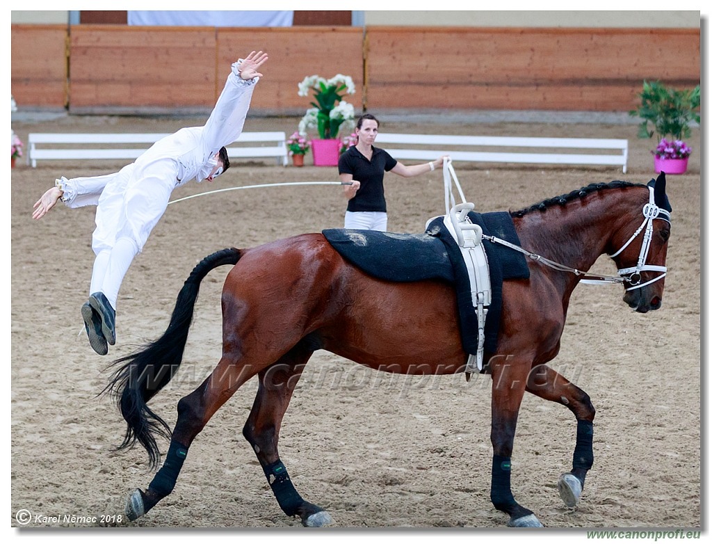  CVI Pezinok - 16th June 2018 - Individual CVIJ2*